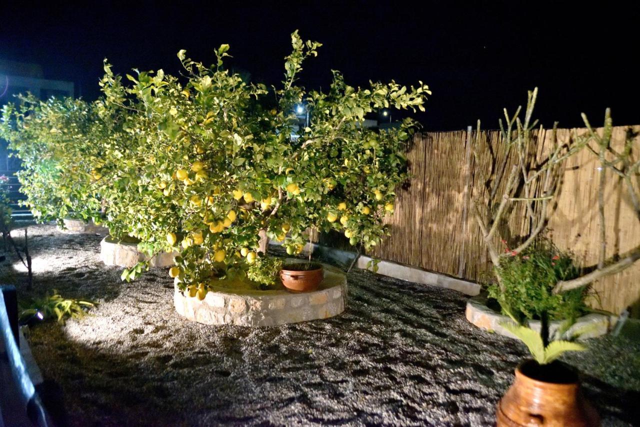 Plumeria House Arhángelosz Kültér fotó